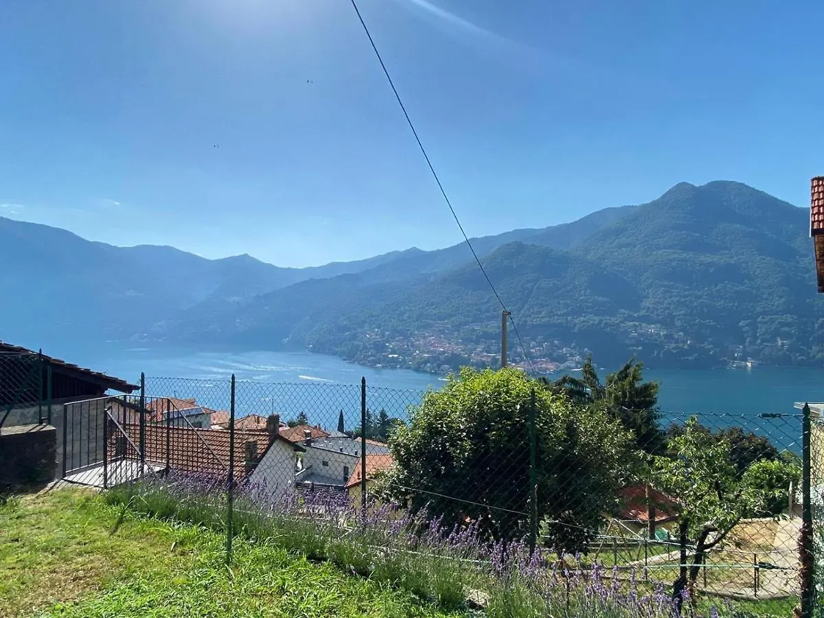 Villa Nova Apartment In Moltrasio - Lake Como 0*,